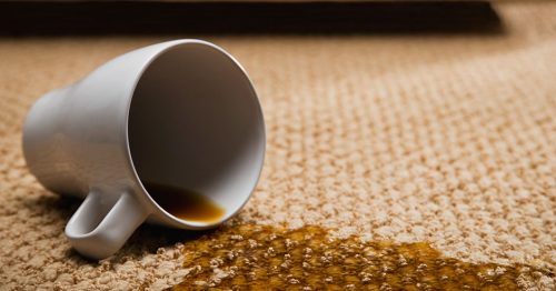 پاك كردن قهوه از روي فرش 2